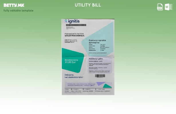 Модерен стил шаблон за комунални сметки Litva Ignitis